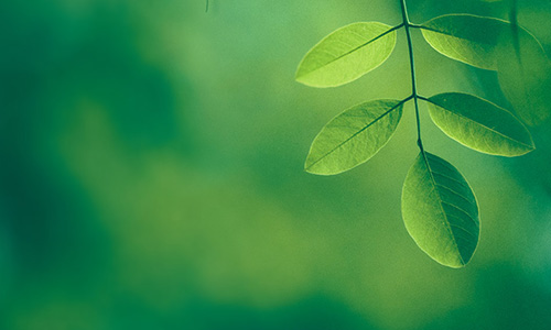 Hitachi Digital Services’ Second Sustainability Report Spotlights Significant Progress Toward Aggressive ESG Goals