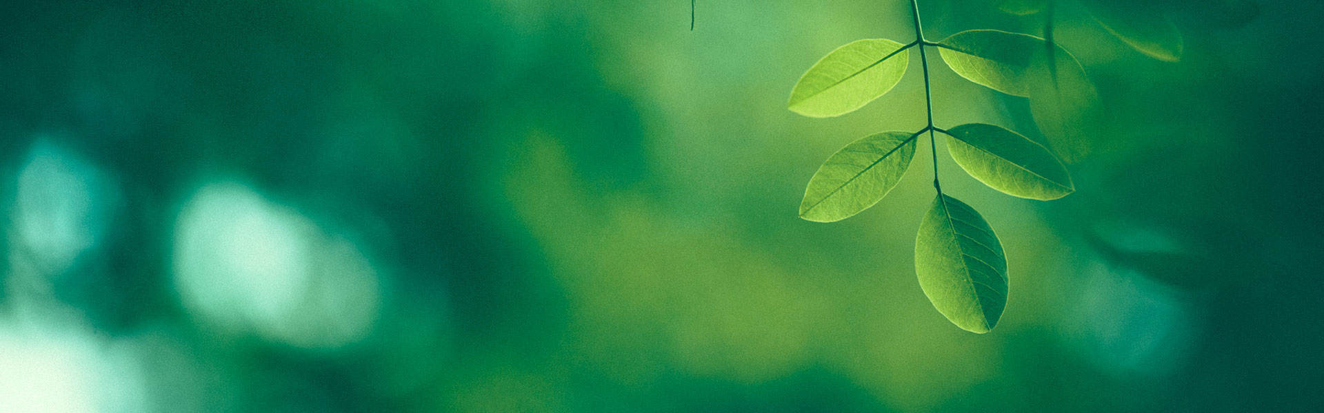 Artificial Intelligence in ESG Reporting: Transforming Compliance into Strategic Sustainability